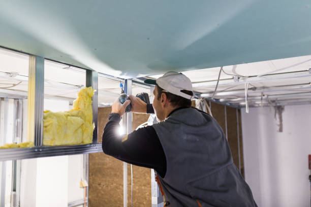 Best Crawl Space Insulation  in Rocky Mount, NC