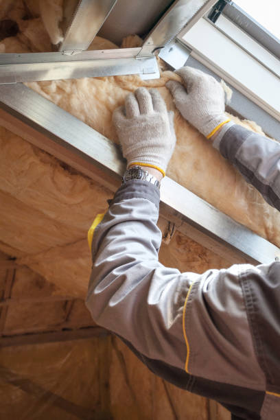 Best Insulation Removal  in Rocky Mount, NC