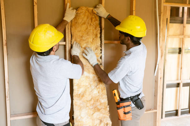 Best Commercial Insulation Contractor  in Rocky Mount, NC