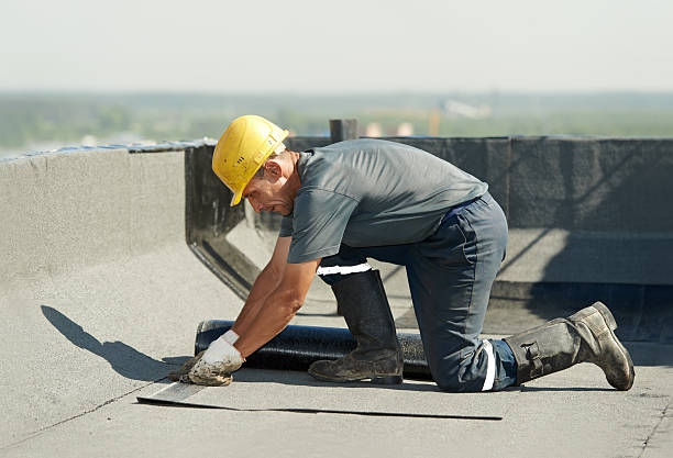 Best Insulation Contractors for Homes  in Rocky Mount, NC