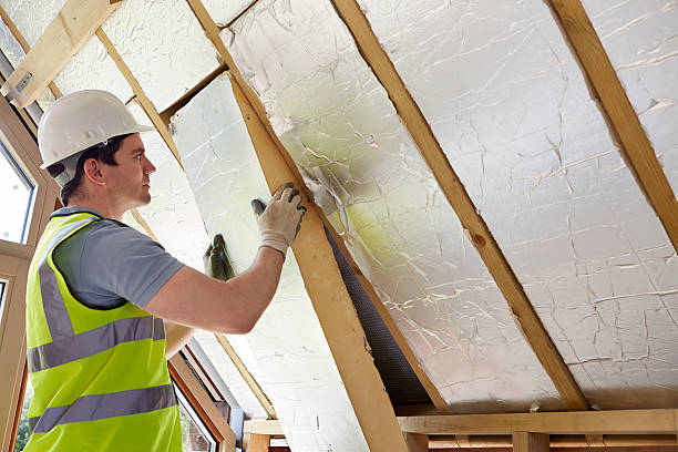 Best Energy-efficient Insulation  in Rocky Mount, NC